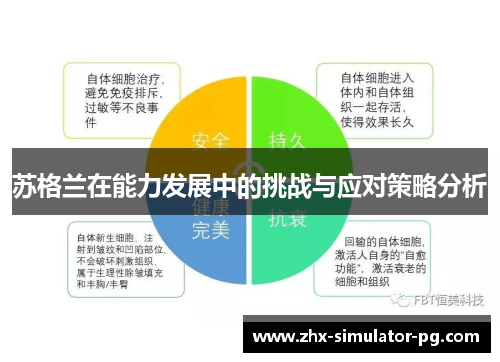 苏格兰在能力发展中的挑战与应对策略分析