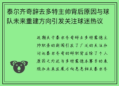 泰尔齐奇辞去多特主帅背后原因与球队未来重建方向引发关注球迷热议